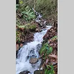 Ca Rifo, En Asturias, Puerta De Somiedo A Orillas Del Rio Narcea Σπίτι διακοπών