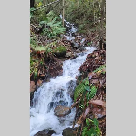 Ca Rifo, En Asturias, Puerta De Somiedo A Orillas Del Rio Narcea Casa vacanze