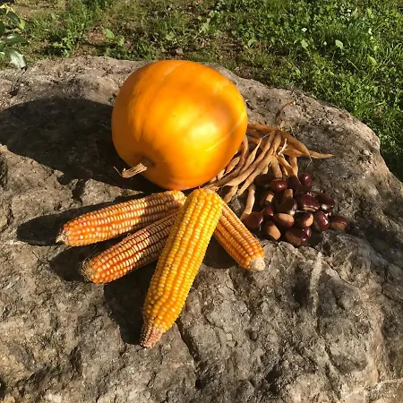 Casa vacanze Ca Rifo, En Asturias, Puerta De Somiedo A Orillas Del Rio Narcea Barcena